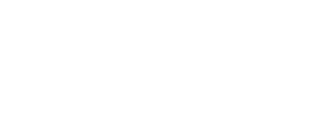 wdd-logo-icon_white-droit